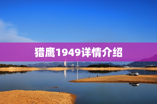 猎鹰1949详情介绍