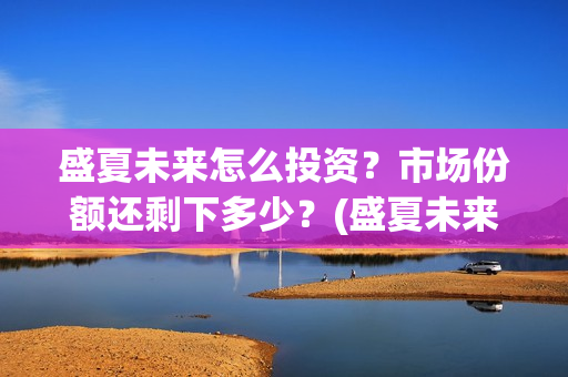 盛夏未来怎么投资？市场份额还剩下多少？(盛夏未来怎么投资)