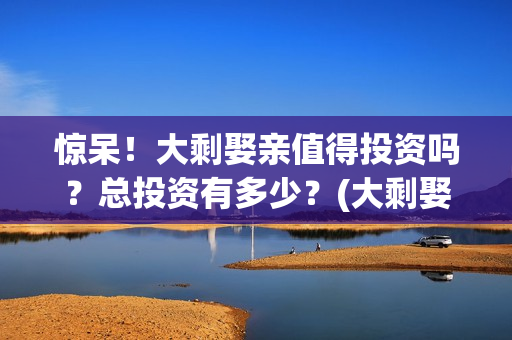 惊呆！大剩娶亲值得投资吗？总投资有多少？(大剩娶亲最新动态)