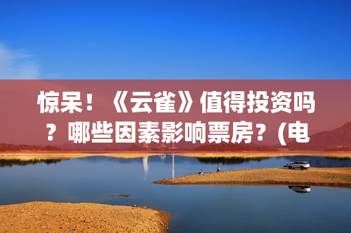 惊呆！《云雀》值得投资吗？哪些因素影响票房？(电影云雀)