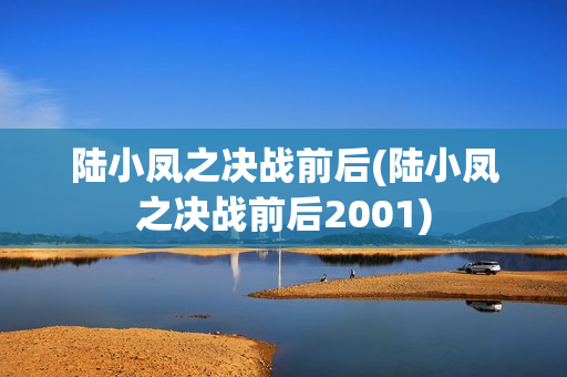 陆小凤之决战前后(陆小凤之决战前后2001)