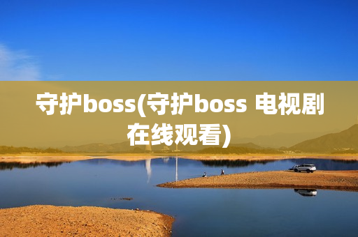 守护boss(守护boss 电视剧在线观看)