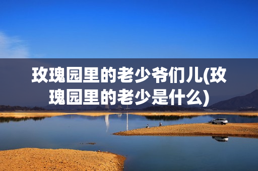 玫瑰园里的老少爷们儿(玫瑰园里的老少是什么)