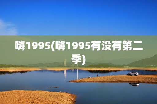 嗨1995(嗨1995有没有第二季)