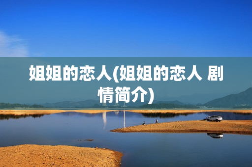 姐姐的恋人(姐姐的恋人 剧情简介)