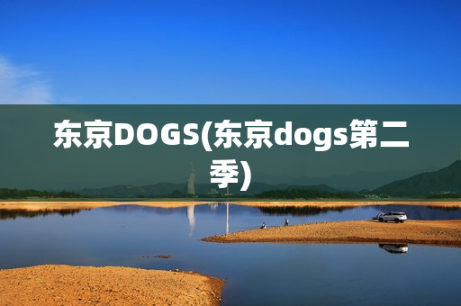 东京DOGS(东京dogs第二季)