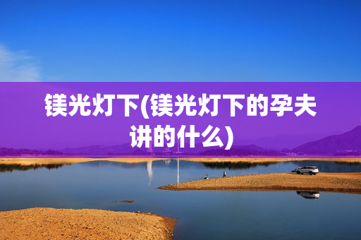 镁光灯下(镁光灯下的孕夫讲的什么)