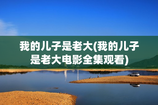我的儿子是老大(我的儿子是老大电影全集观看)
