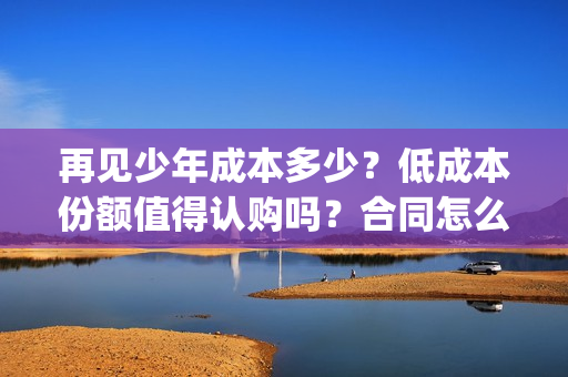 再见少年成本多少？低成本份额值得认购吗？合同怎么签？(再见少年改编自)