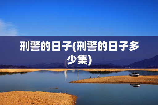 刑警的日子(刑警的日子多少集)