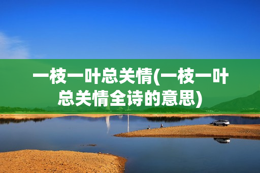 一枝一叶总关情(一枝一叶总关情全诗的意思)