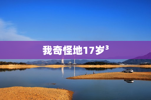 我奇怪地17岁³
