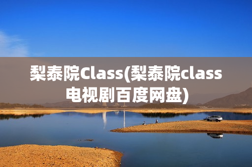 梨泰院Class(梨泰院class电视剧百度网盘)
