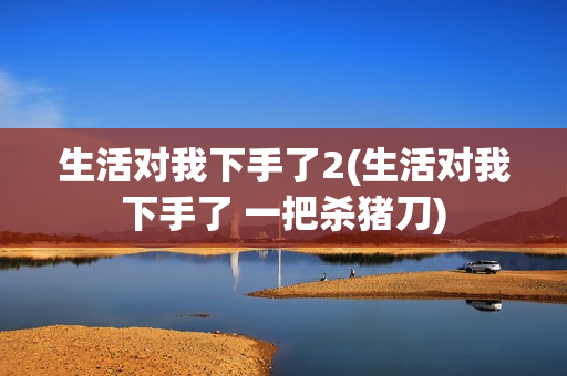 生活对我下手了2(生活对我下手了 一把杀猪刀)