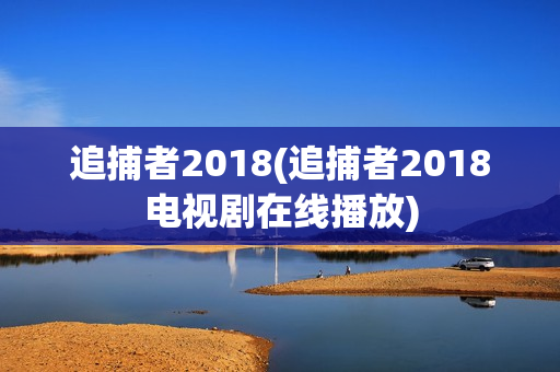 追捕者2018(追捕者2018电视剧在线播放)