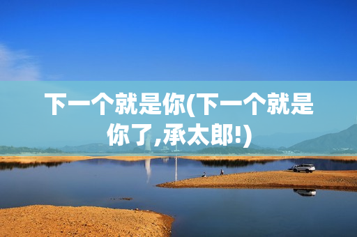 下一个就是你(下一个就是你了,承太郎!)