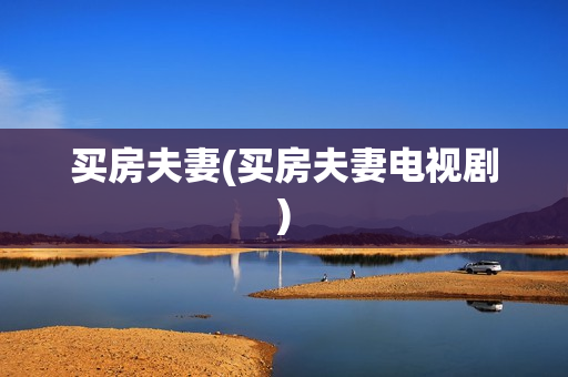 买房夫妻(买房夫妻电视剧)