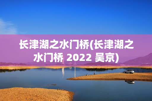 长津湖之水门桥(长津湖之水门桥 2022 吴京)
