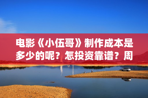 电影《小伍哥》制作成本是多少的呢？怎投资靠谱？周期是多久的呢？(小伍哥在线观看)