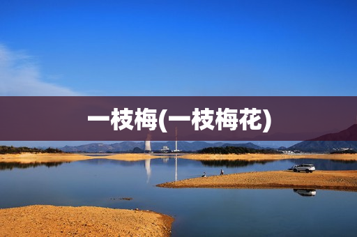 一枝梅(一枝梅花)