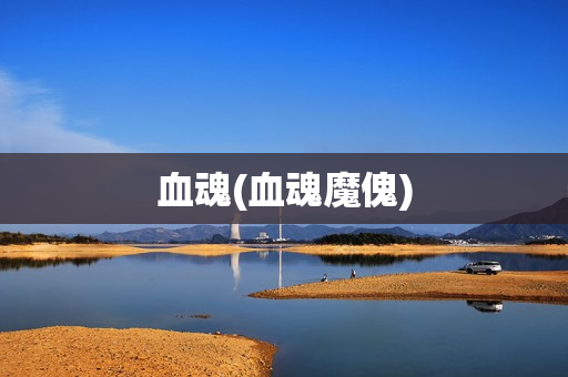 血魂(血魂魔傀)