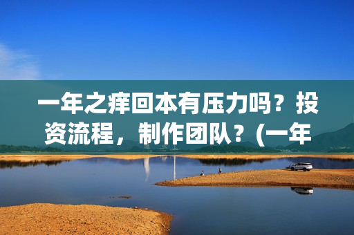 一年之痒回本有压力吗？投资流程，制作团队？(一年之痒2021)