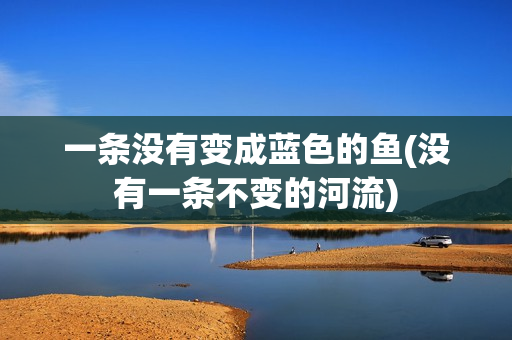 一条没有变成蓝色的鱼(没有一条不变的河流)