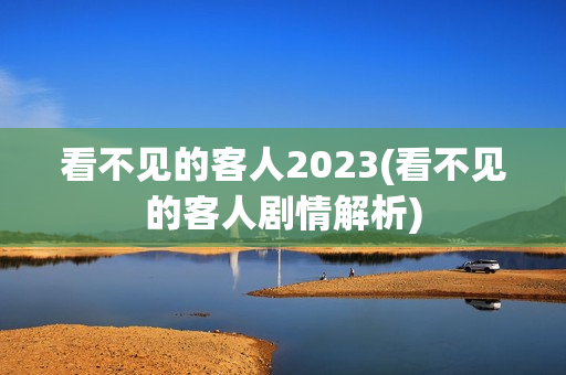 看不见的客人2023(看不见的客人剧情解析)