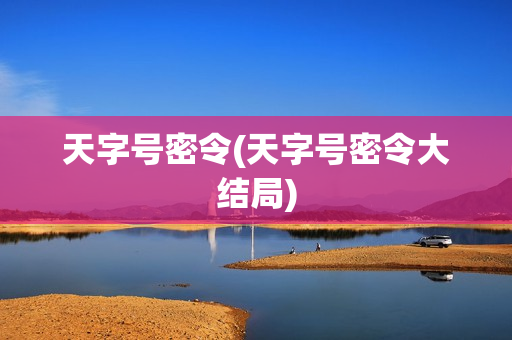天字号密令(天字号密令大结局)