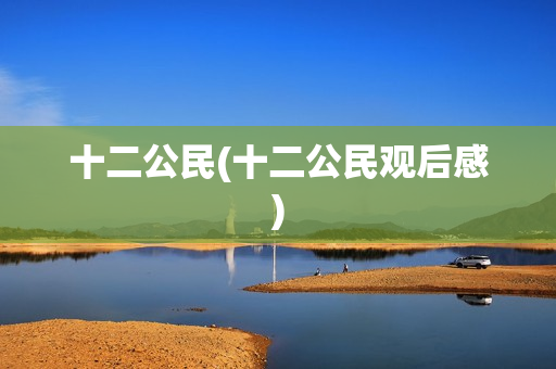 十二公民(十二公民观后感)