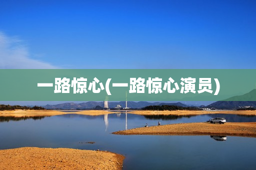 一路惊心(一路惊心演员)