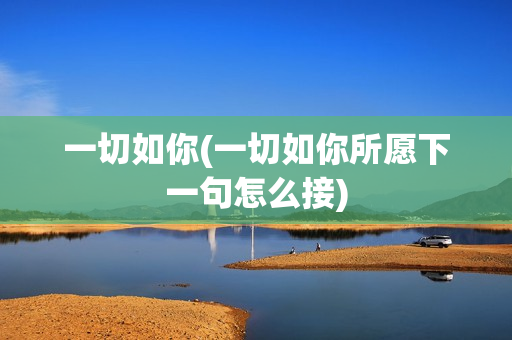 一切如你(一切如你所愿下一句怎么接)