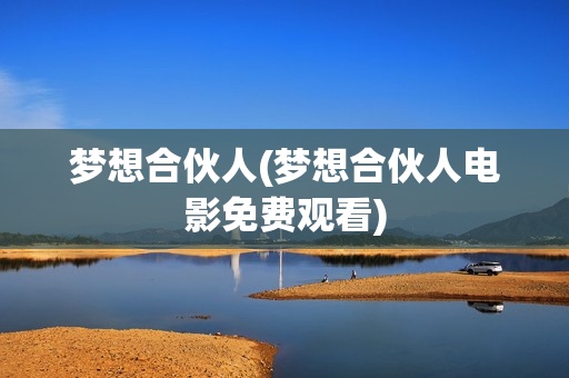 梦想合伙人(梦想合伙人电影免费观看)