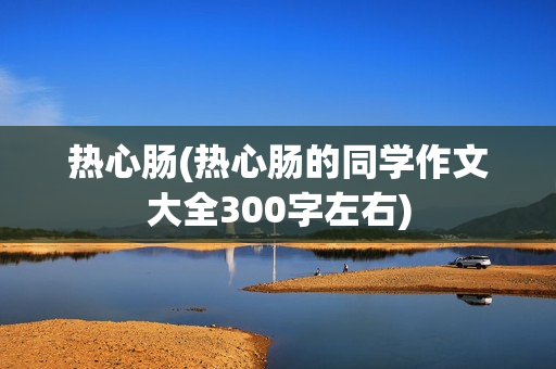 热心肠(热心肠的同学作文大全300字左右)