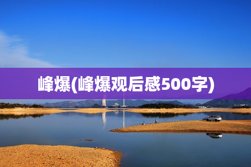 峰爆(峰爆观后感500字)