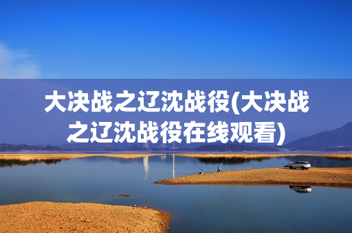 大决战之辽沈战役(大决战之辽沈战役在线观看)