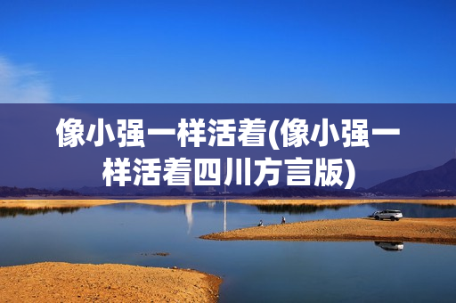 像小强一样活着(像小强一样活着四川方言版)