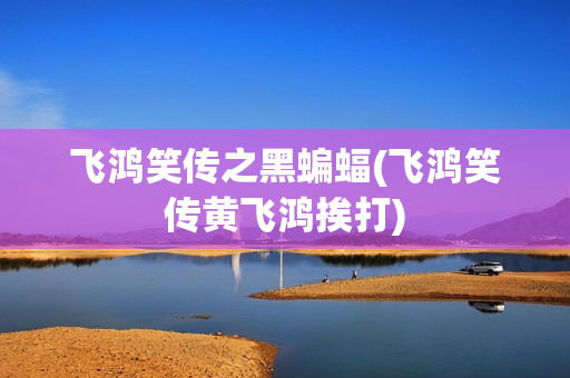 飞鸿笑传之黑蝙蝠(飞鸿笑传黄飞鸿挨打)