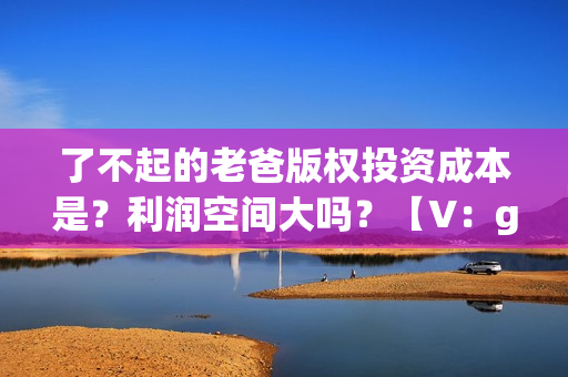 了不起的老爸版权投资成本是？利润空间大吗？【V：grey121415】(了不起的老爸ts版)