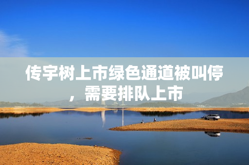 传宇树上市绿色通道被叫停，需要排队上市