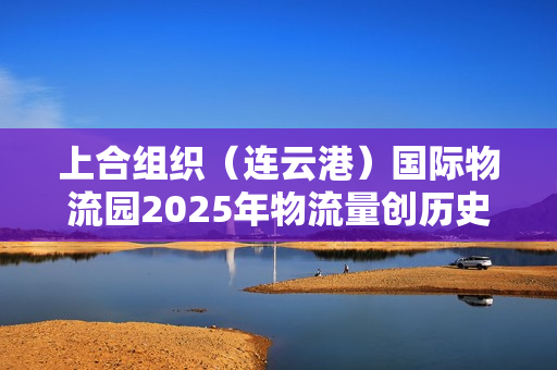 上合组织（连云港）国际物流园2025年物流量创历史新高