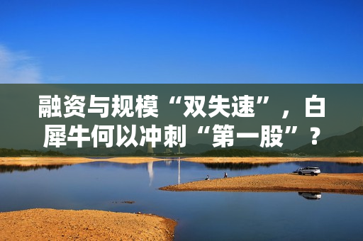 融资与规模“双失速”，白犀牛何以冲刺“第一股”？