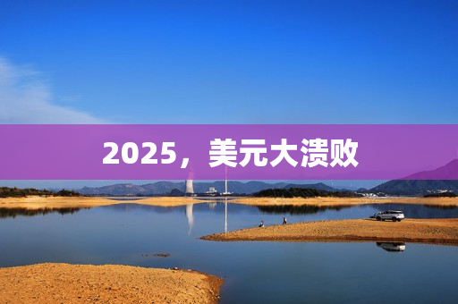 2025，美元大溃败