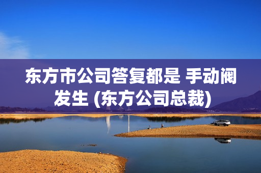 东方市公司答复都是 手动阀 发生 (东方公司总裁)