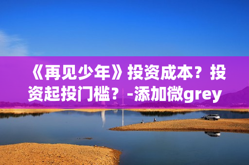 《再见少年》投资成本？投资起投门槛？-添加微grey121415(电影再见少年投资)
