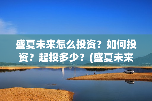 盛夏未来怎么投资？如何投资？起投多少？(盛夏未来怎么过审的)