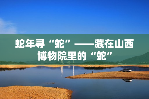 蛇年寻“蛇”——藏在山西博物院里的“蛇”