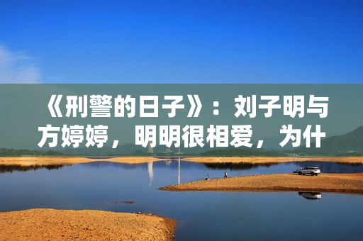 《刑警的日子》：刘子明与方婷婷，明明很相爱，为什么却要分开？