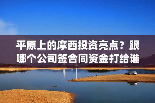 平原上的摩西投资亮点？跟哪个公司签合同资金打给谁？曹县(平原上的摩西有几个故事)