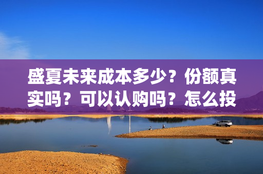 盛夏未来成本多少？份额真实吗？可以认购吗？怎么投资？(盛夏未来投资成本多少)